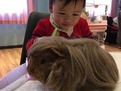 -藦茜花园宠物主题亲子互动体验馆(国顺东路店)