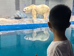 -大连圣亚海洋世界