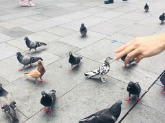 -詹爷爷乌节路街头冰淇淋