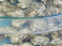 -晓伟海鲜家常菜