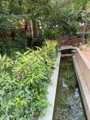 -宝生月子中心(独栋园林·福田店)