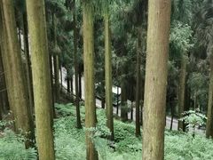 -太阳湾风景区