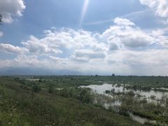 -黑河国家森林公园