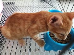 -圣宠动物医院·犬猫专科·影像中心·外科中心