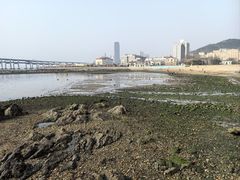 -黑石礁公园