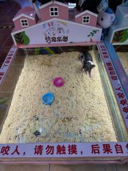 -万达宝贝王(长春红旗街店)