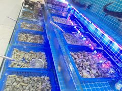 -朗丽兹自助餐厅