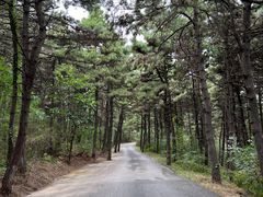 -沈阳辉山风景区