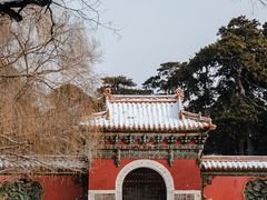 -北陵公园