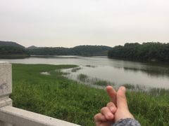 -大屏嶂森林公园