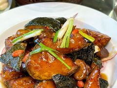 -凯鸽酒楼•雁北民间菜(云冈石窟店)