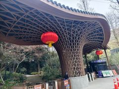 -东明山森林公园