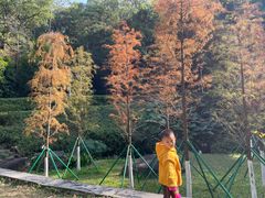 -火炉山森林公园