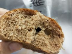 黑眼豆豆-法莱索尔(奥莱店)