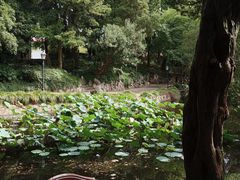 -叶家花园