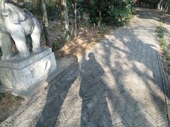 -白马涧龙池景区