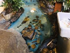 -大鹅岛绿色生态美食园