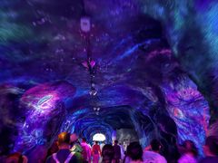 -栾川竹海野生动物园