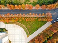-大连理工大学(凌水校区)