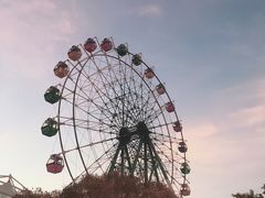 -巨鹏飞梦幻海岸