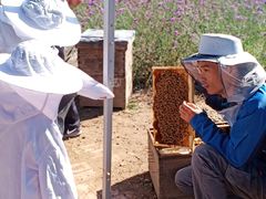 -紫海香堤香草艺术庄园