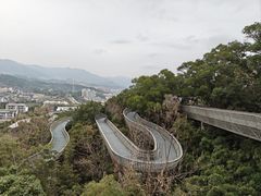 -福道