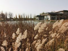 -林栖谷森林康养度假区