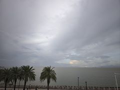 -野狸岛