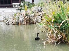 -阳澄湖半岛旅游度假区