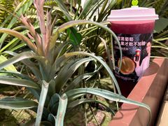 -奈雪的茶(正弘城PRO+店)