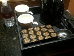 -新加坡文华东方酒店