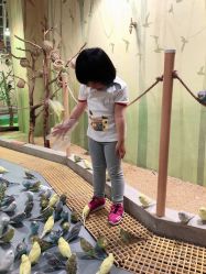 -七巧国萌宠乐园(龙湖天街店)