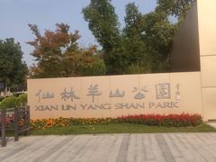 -羊山湖公园