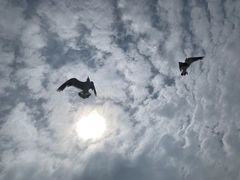-海驴岛(荣成市)