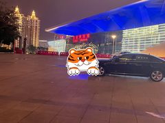 -深圳市宝安体育中心体育场