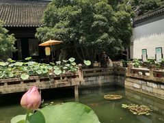 -上海醉白池公园