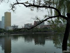 -文瀛公园