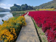 -广州市石门国家森林公园