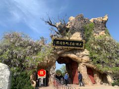 -大槐树寻根祭祖园