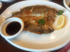 -辛氏火炉·韩式古法烤肉(松北店)