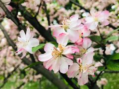 -白鹭湾湿地公园