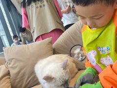 -怪兽屋·羊驼·猫咖·狗咖(俊华广场店)