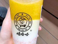 椰汁杨枝甘露-娃哈哈·奶茶(武林店)