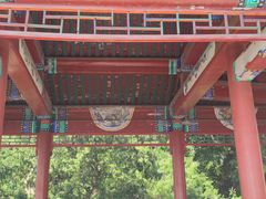 -北京鹫峰国家森林公园
