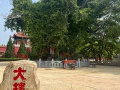 -大槐树寻根祭祖园