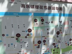 -高东镇樱花园