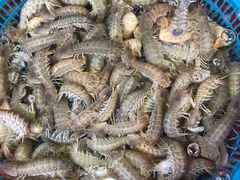 -芦潮港集贸市场