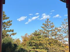 -西海子公园