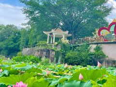 -广州莲花山旅游区