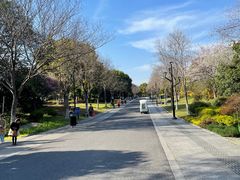 -石湖景区